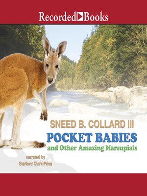 cover image of Pocket Babies and Other Amazing Marsupials